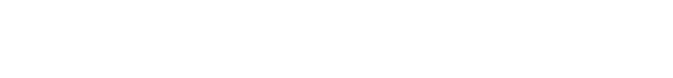 CSM Wordmark